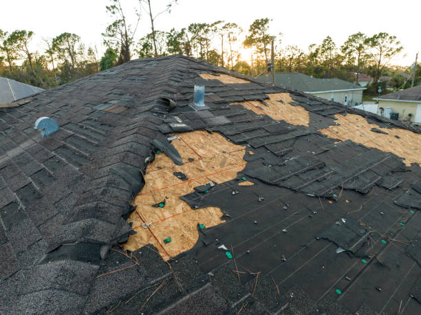 Best Roof Insulation Installation  in Buchanan, NY